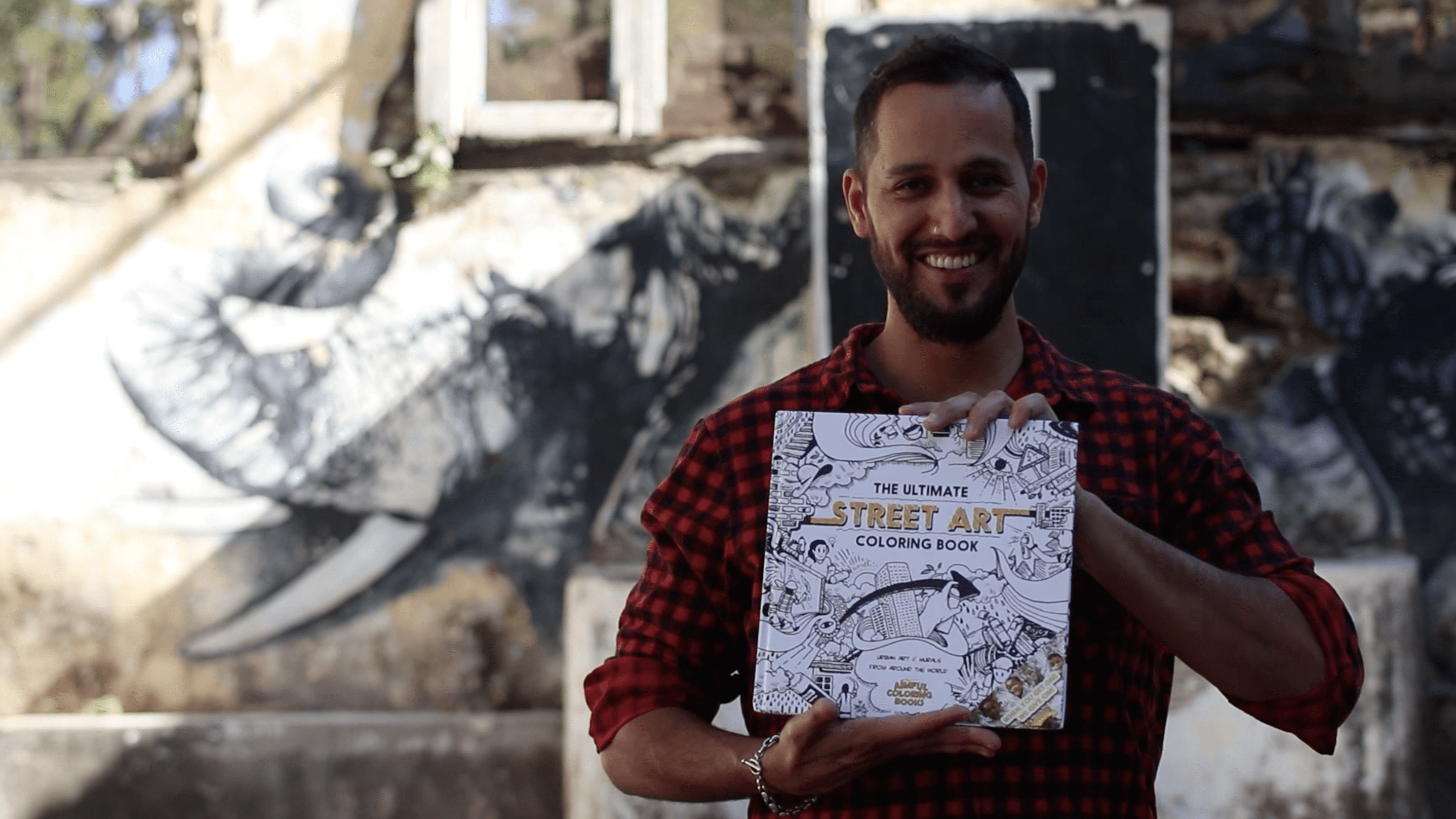 Aimful_Books_Ultimate_Street_Art_Coloring_Book_Diego_Orlandini_1